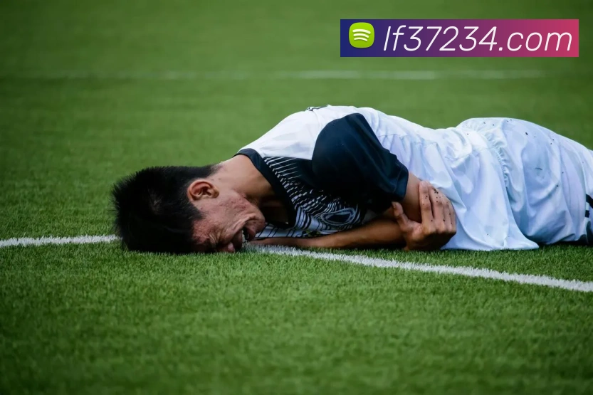 乐发官网服务体系